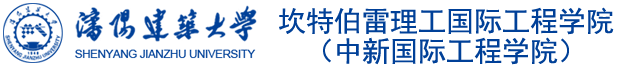 中新国际工程学院